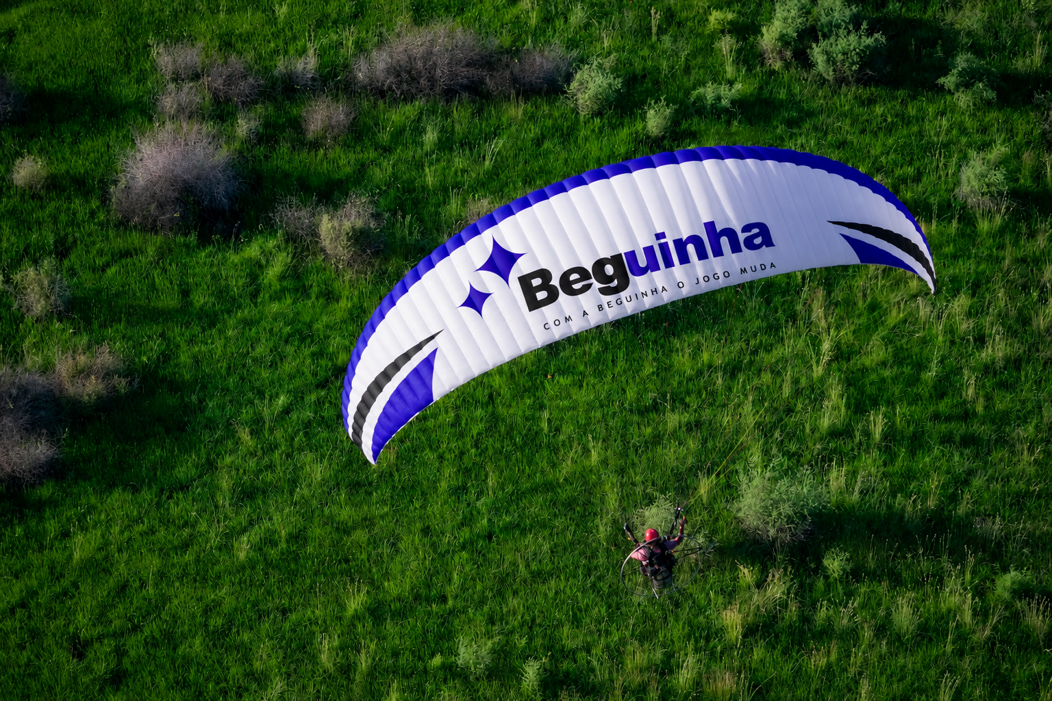 https://www.instagram.com/beguinha.oficial/